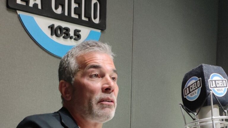 Gimnasia: Gabriel Pellegrino, de la inhibición a la economía
