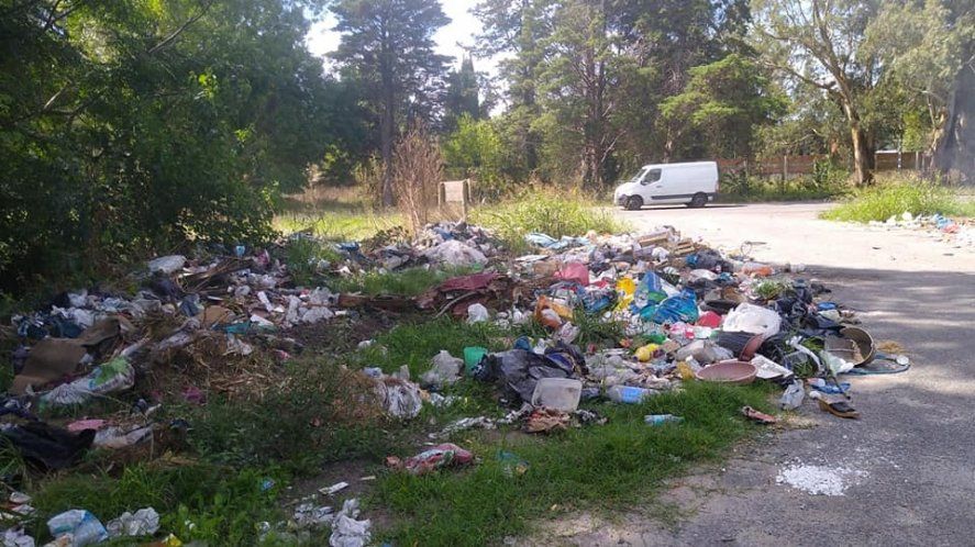 Estado de abandono del Parque Pereyra