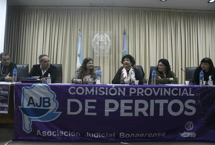 Peritos reclamaron ante la Suprema Corte por la emergencia del sector