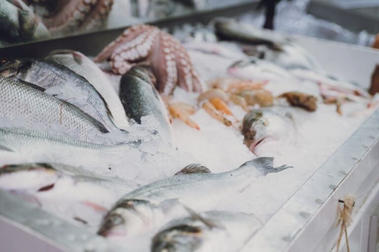 Argentina se ubica entre los países que menos consume pescado: el 30% de los jóvenes jamás lo ha comido 