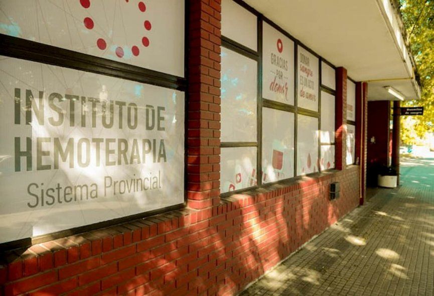 Solidaridad: Mía necesita sangre tipo cero y piden cercarse a donar en La Plata