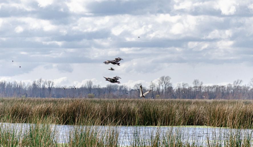 Parque Nacional Ciervo de los Pantanos es uno de los dos Parques Nacionales de la provincia de Buenos Aires. 
