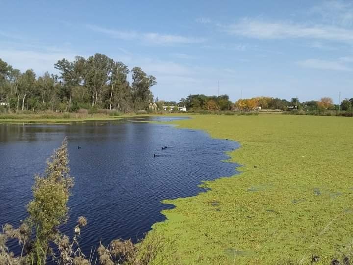 La Laguna de Roque Pérez, otro atractivo del pueblo