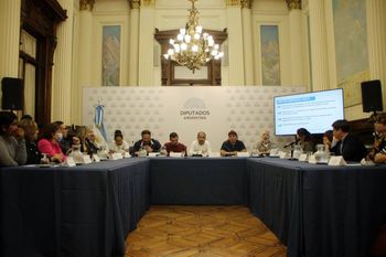 ¿Cuáles son los fundamentos del salario básico universal?