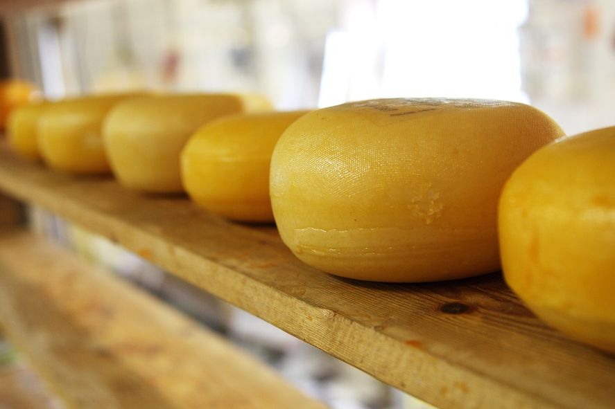 Este lunes 27 de marzo se celebra el Día Mundial del Queso para rendir honor a uno de los alimentos más consumidos en el todo el mundo. Conocé su origen.