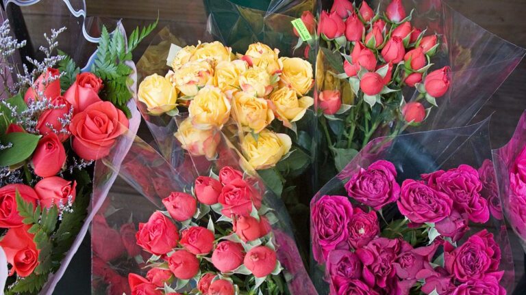 Los precios de las flores por el día de la primavera.