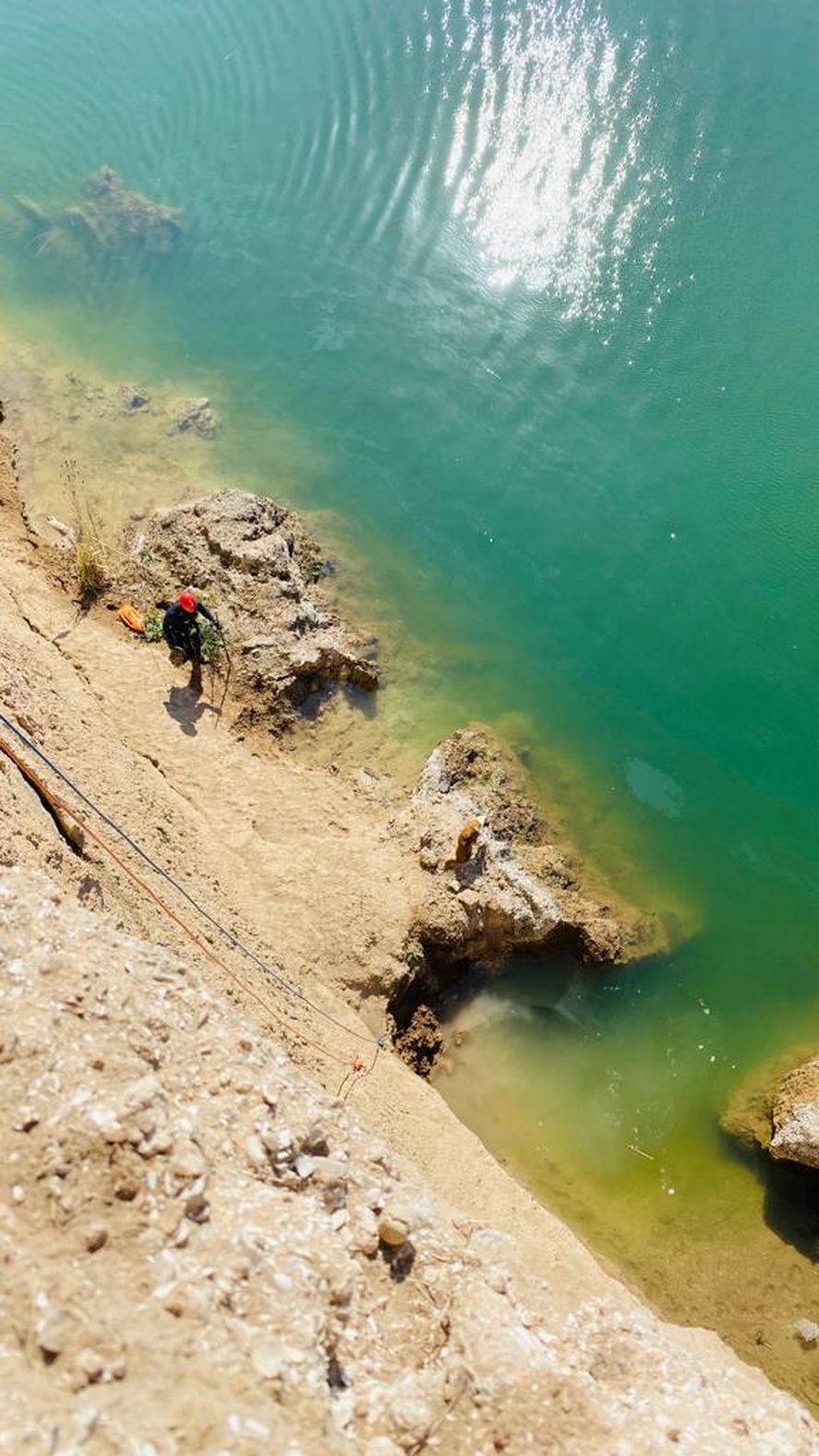 Las imágenes del rescate al perro que se encontraba desde hacía días en una cantera de la zona de Villa Elvira.