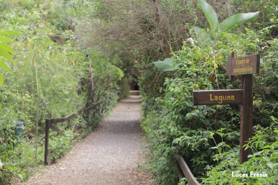 La reserva ecológica de Vicente López