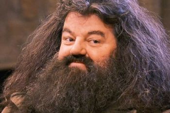 El actor Robbie Coltrane falleció a los 72 años.