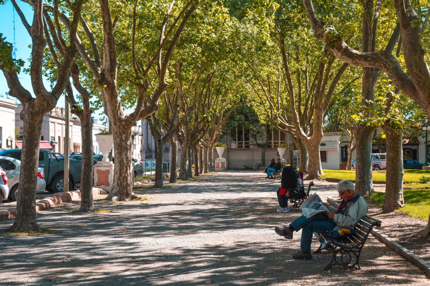 San Antonio de Areco celebra su 293° aniversario y en Infocielo te contamos curiosidades y planes que no te podés perder en este municipio.