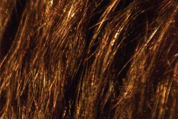 La marca distintiva de Diego Santilli y del PRO para estas elecciones