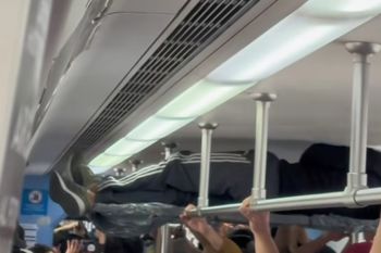clase business: pasajero viajo acostado en una madera sobre el pasamanos del tren roca.