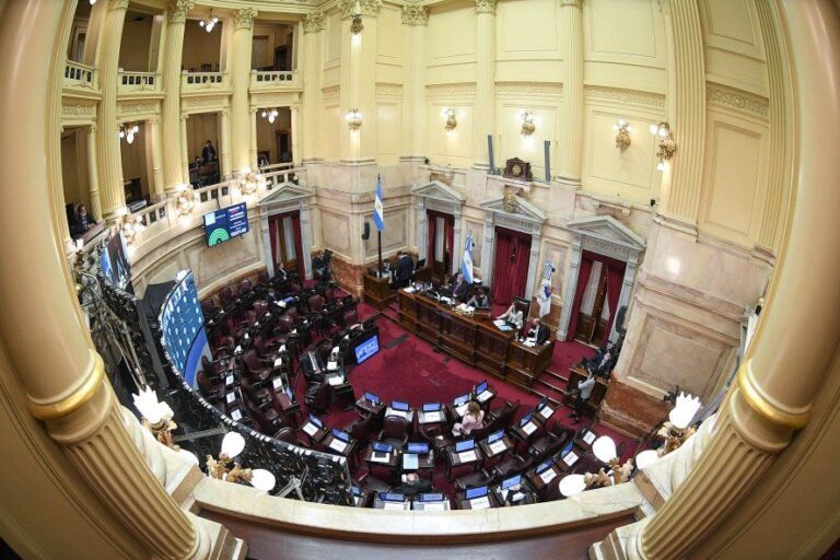 Presupuesto 2021: el Senado comienza a debatir el proyecto