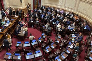 El Senado no pudo aprovechar las sesiones extraordinarias.