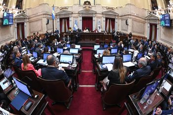 El Senado de la Nación discute el acuerdo con el FMI realizado por el Gobierno (Foto Prensa Senado)
