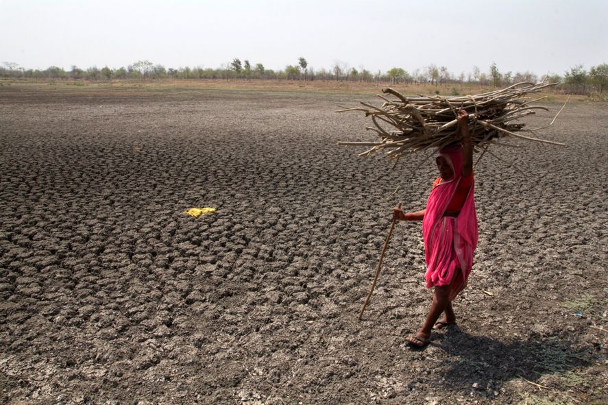 Según la ONU, las sequías, los incendios forestales y las grandes inundaciones en distintas regiones del planeta están directamente relacionados con la actividad humana.