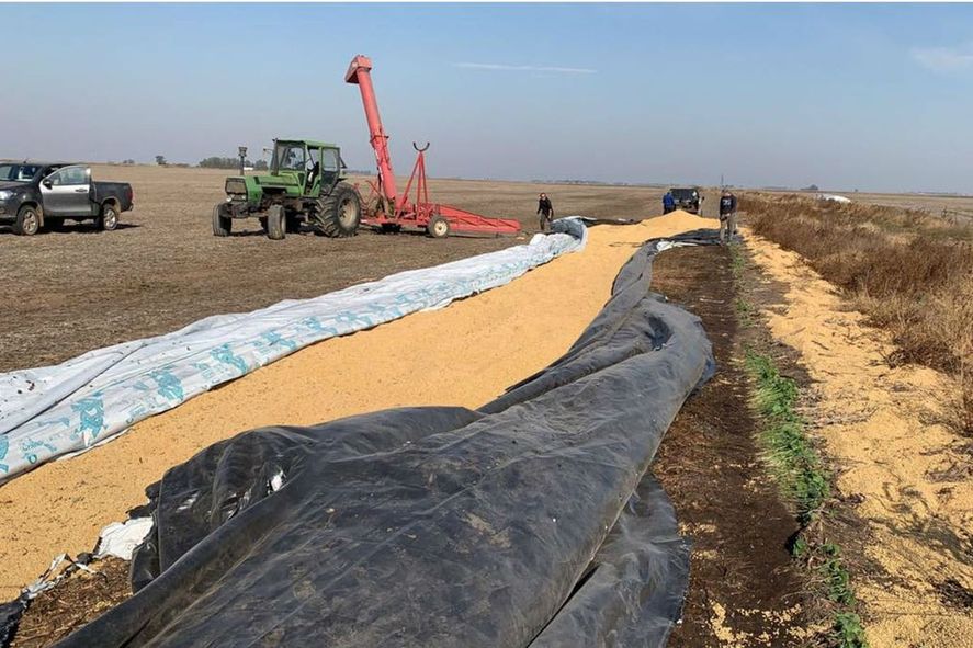 La rotura de silo bolsas, uno de los flagelos de la falta de seguridad rural