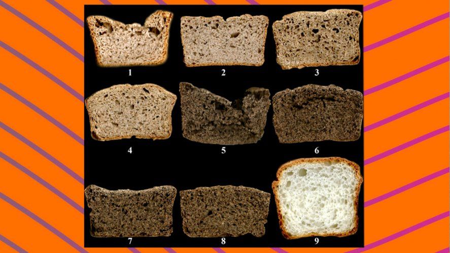 Muestras de los panes elaborados a partir de las 8 premezclas y con la harina comercial (9). El pan elegido es el número 4.