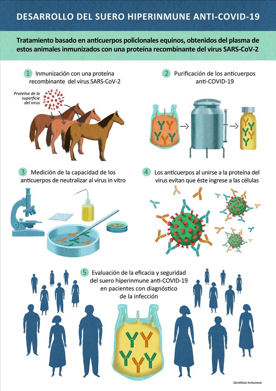 Desarrollo del suero hiperinmune