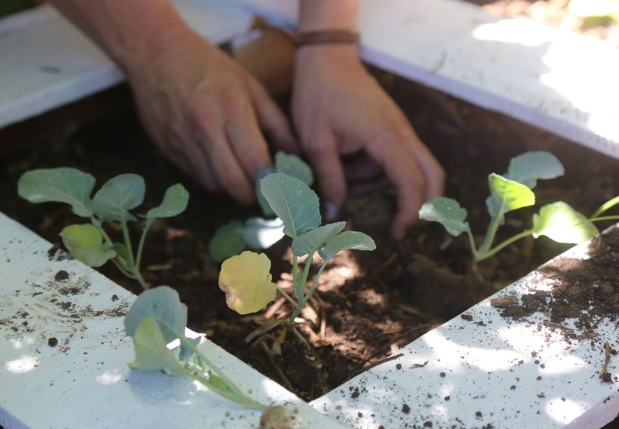 Durante el mes de abril se desarrollarán diversos talleres en la Casa Ecológica que se ubica en el Paseo del Bosque de La Plata. 