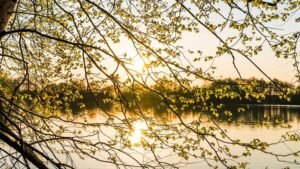 Clima estimado en la provincia de Buenos Aires para hoy jueves 9 de octubre: templado, cielo variable y sin lluvias confirmadas