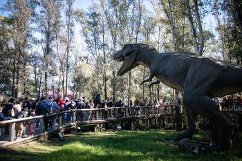 Espectáculos, circo y talleres: así se festejará el Día de las Infancias en Tecnópolis.