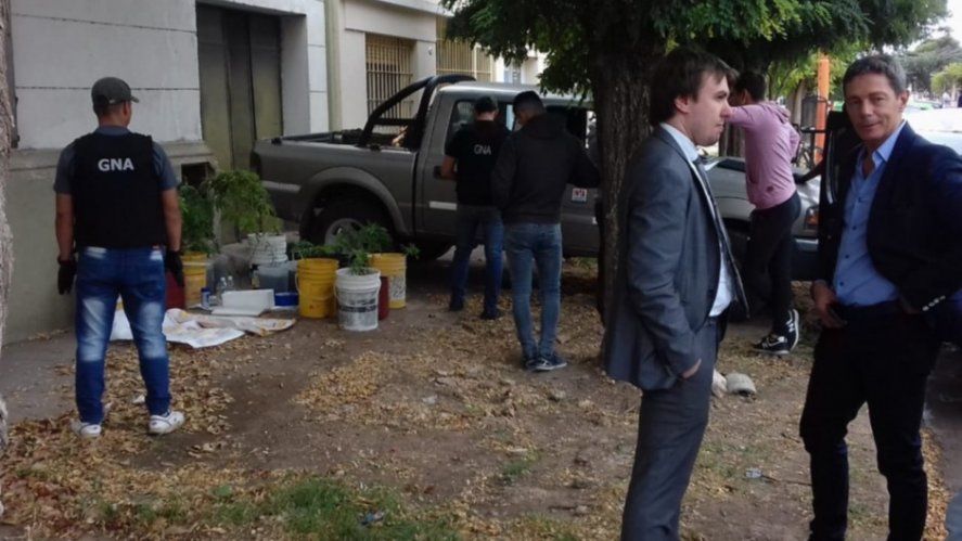 El fiscal Mauricio Del Cero allanóla sede del INTA en Tornquist y secuestró las plantas de cannabis.