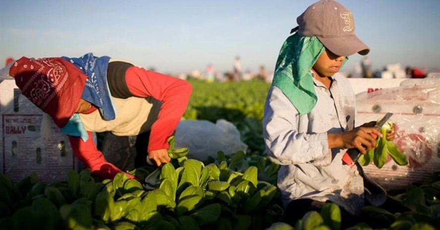Para Bugallo quienes dicen que el trabajo infantil es “explotación” repiten el “verso ideológico”.