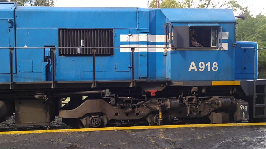 El tren llegó por primera vez a Bahía Blanca después del descarrilamiento (Foto: Marcela Linares)
