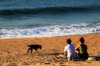 Turismo 2021: todos los detalles de la próxima temporada