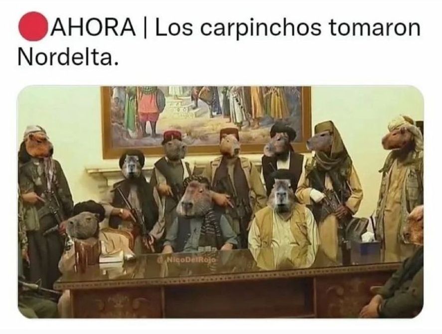 Un meme que resume la obsesión. La letra K es el estigma perfecto del periodismo 