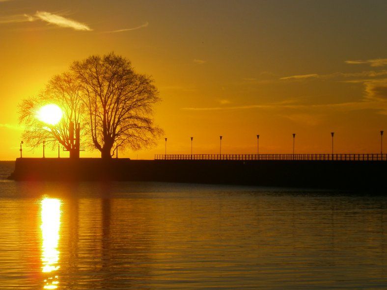 Costanera del Río de la Plata, en Vicente López