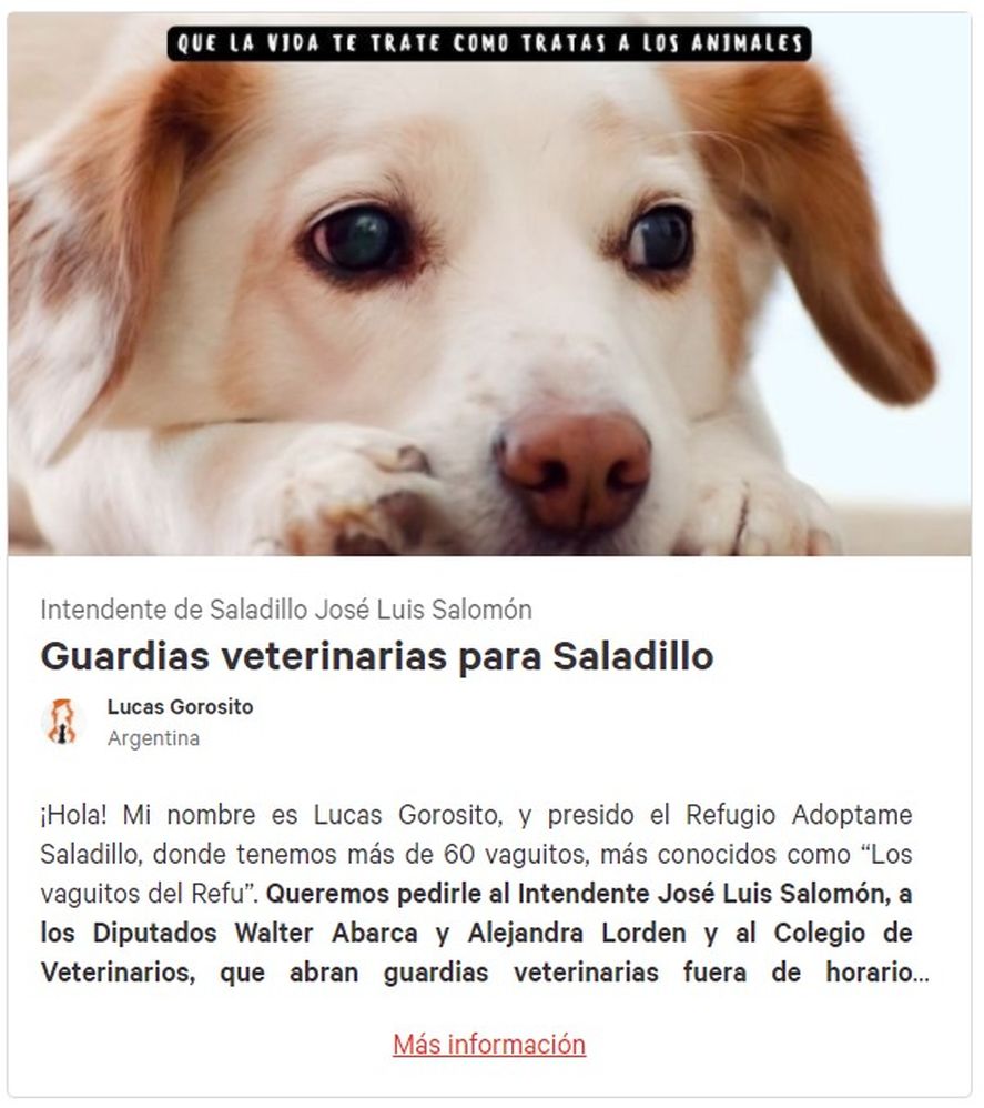 La petición fue hecha por el presidente de un refugio de animales de Saladillo