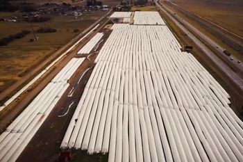 drone muestra silobolsas en lezama y dimensiona la magnitud del acopio