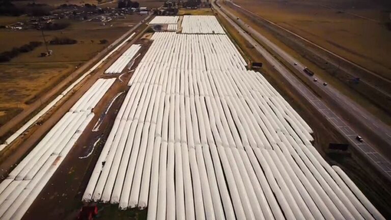 Drone muestra silobolsas en Lezama y dimensiona la magnitud del acopio
