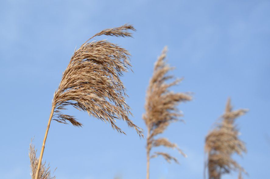 Será una jornada de viento y tiempo inestable en gran parte de la Provincia.