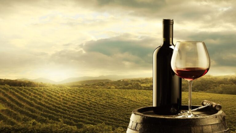 La columna de Martin Vázquez, sommelier: trivia sobre los vinos.