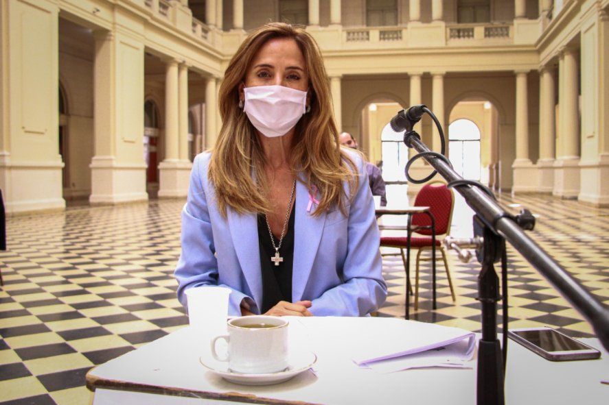 Victoria Tolosa Paz confirmó que el proyecto para Meridiano V busca responder al reclamo por la emergencia cultural.