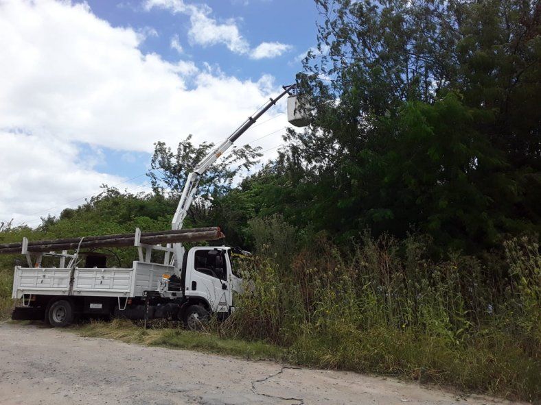 Temporal en La Plata: EDELAP restituyó el servicio al 80% de usuarios afectados