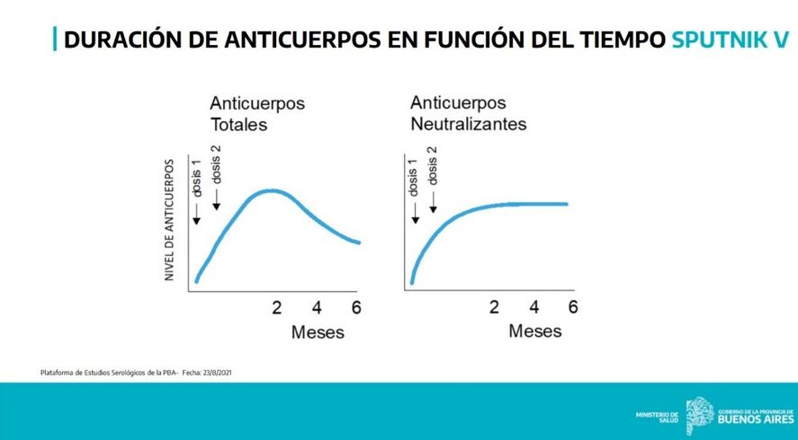 Demostraron la efectividad de la vacuna Sputnik V hasta 6 meses después de aplicada