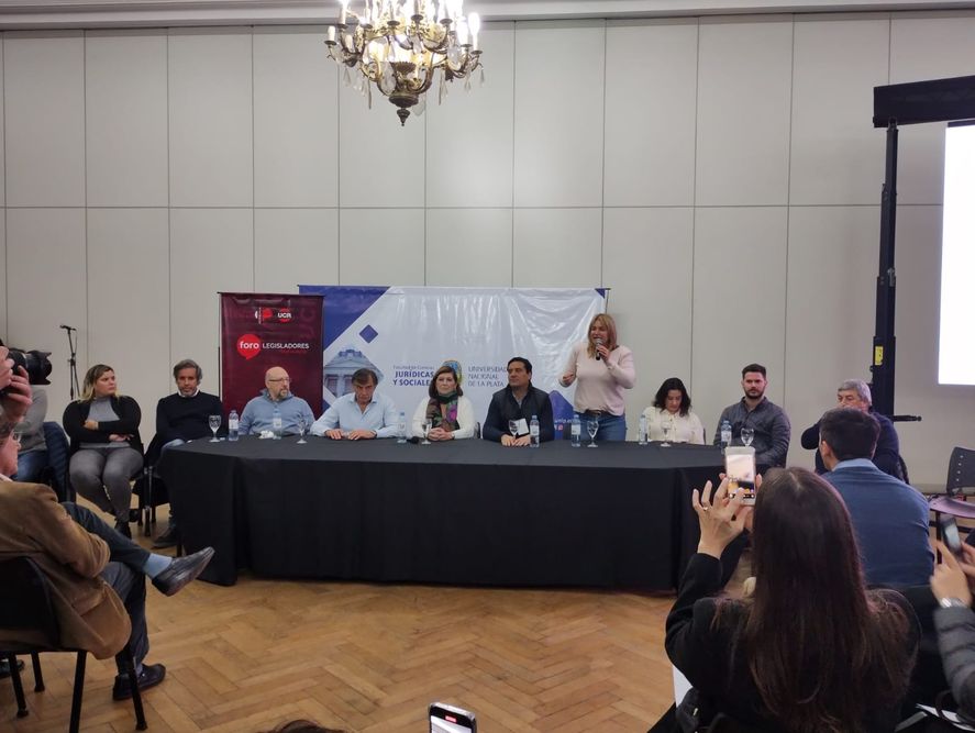 La senadora Érica Revilla, una de las que agitó el encuentro y motivó a los más de 450 dirigentes de la UCR en La Plata