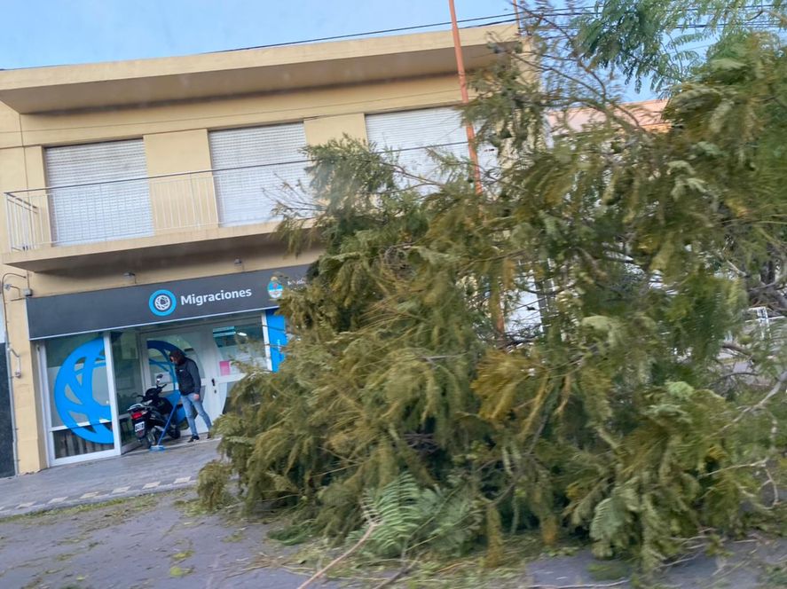 Fuerte temporal azotó a Bahía Blanca
