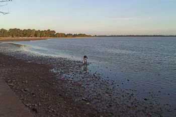 Las imágenes de la laguna de Chascomús.Fotos: Catalina Anchordoquy