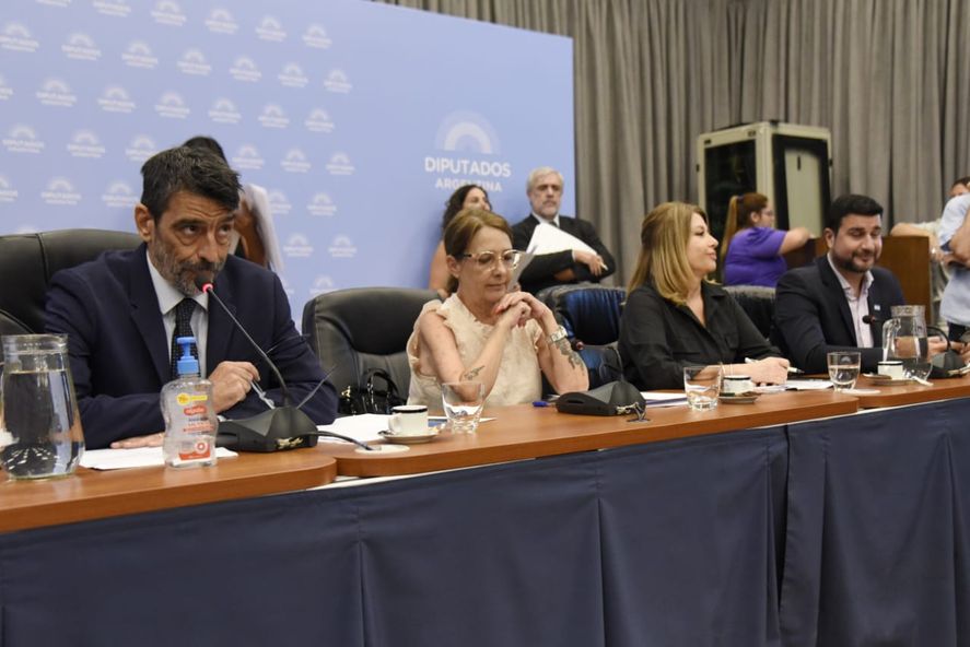 Con la asistencia del ministro de Seguridad, Aníbal Fernández, las comisiones en Diputados avanzan sobre políticas que combatan la inseguridad.