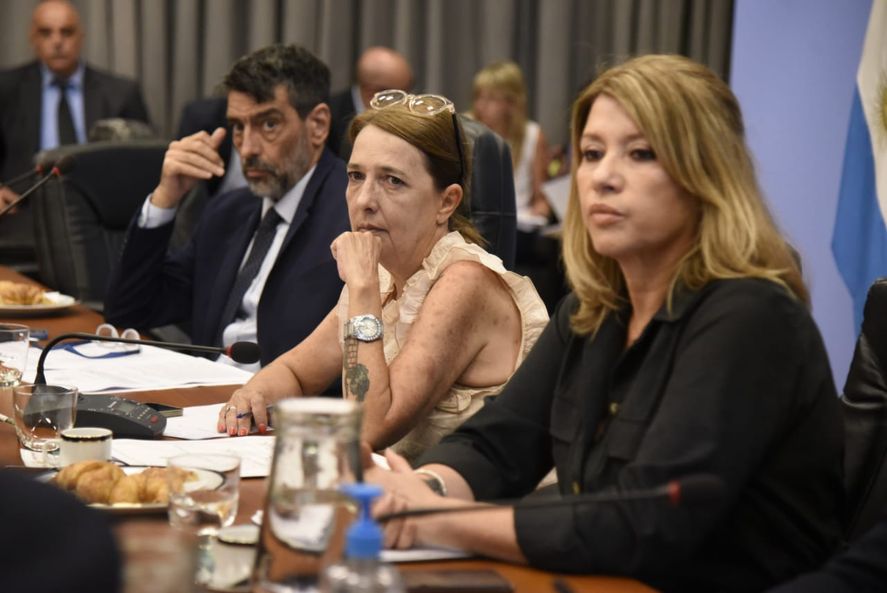 Con la asistencia del ministro de Seguridad, Aníbal Fernández, las comisiones en Diputados avanzan sobre políticas que combatan la inseguridad.