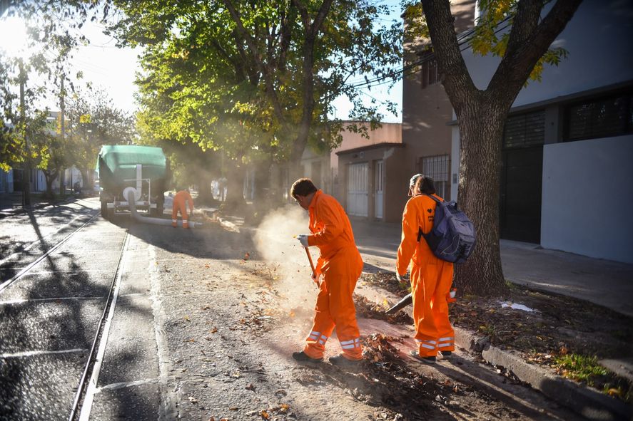 Como es propio del otoño, las hojas secas de los árboles caen en la vía pública obsruyendo los sumideros y dificultando la movilidad.