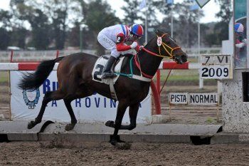 el astillero rio santiago comenzara obras en el hipodromo de la plata