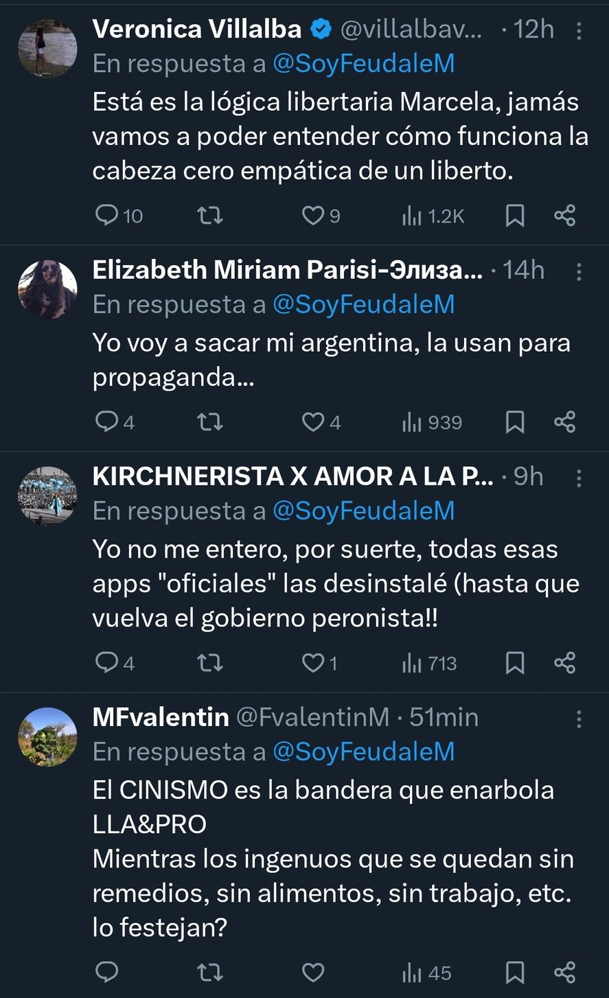 Algunas de las opiniones expresadas en las redes social X, a partir del posteo de Marcela Feudale Algunas de las opiniones expresadas en las redes social X, a partir del posteo de Marcela Feudale