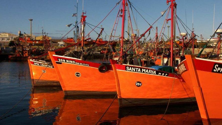 Las asociaciones pesqueras rechazan las reformas de la Ley Ómnibus a la actual Ley de Pesca. Las asociaciones pesqueras rechazan las reformas de la Ley Ómnibus a la actual Ley de Pesca.