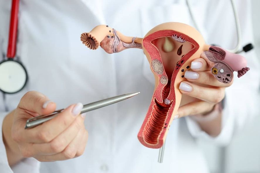 Cada 4 de marzo se conmemora el Día Mundial de Concientización del Virus del Papiloma Humano (VPH o HPV), una enfermedad de transmisión sexual que afecta a un gran número de la población. Cada 4 de marzo se conmemora el Día Mundial de Concientización del Virus del Papiloma Humano (VPH o HPV), una enfermedad de transmisión sexual que afecta a un gran número de la población.